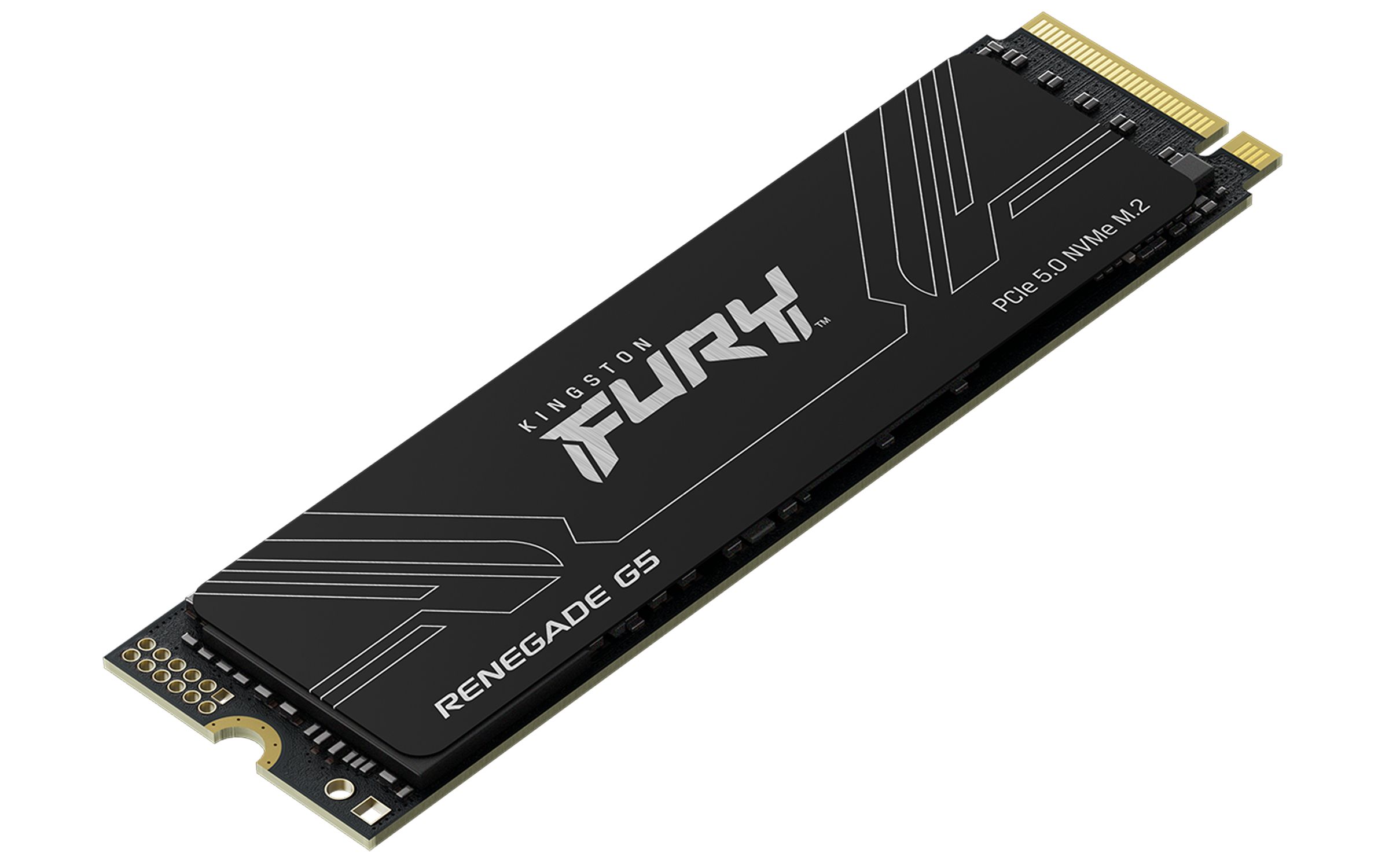 Kingston FURY Renegade G5 SSD 1024GB, M.2/M-Key (PCIe 5.0 x4), M.2 2280